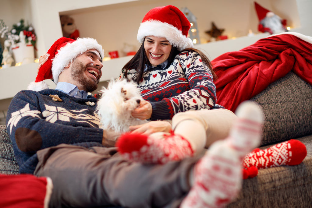 Fun Ways to Celebrate the Holidays With Your Pets