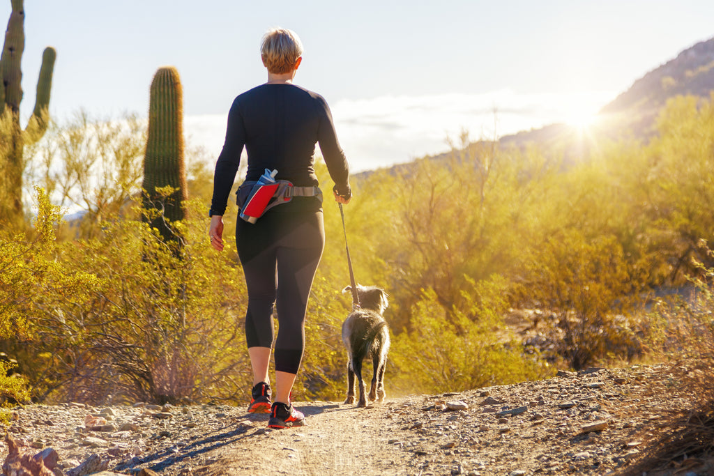 11 Things You Should Know About Hiking With Your Dog