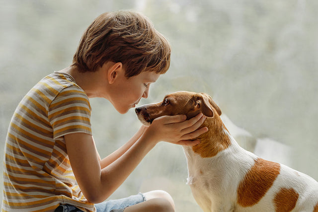 How Old Should My Child Be to Have a Pet?