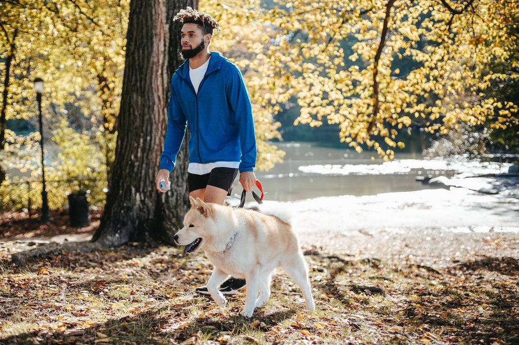 Effective Ways to Exercise Your Dog and Stay Active Together
