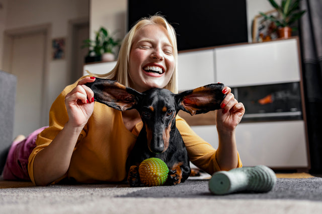 Habitual Hounds: How to Get Your Dog Into a Routine