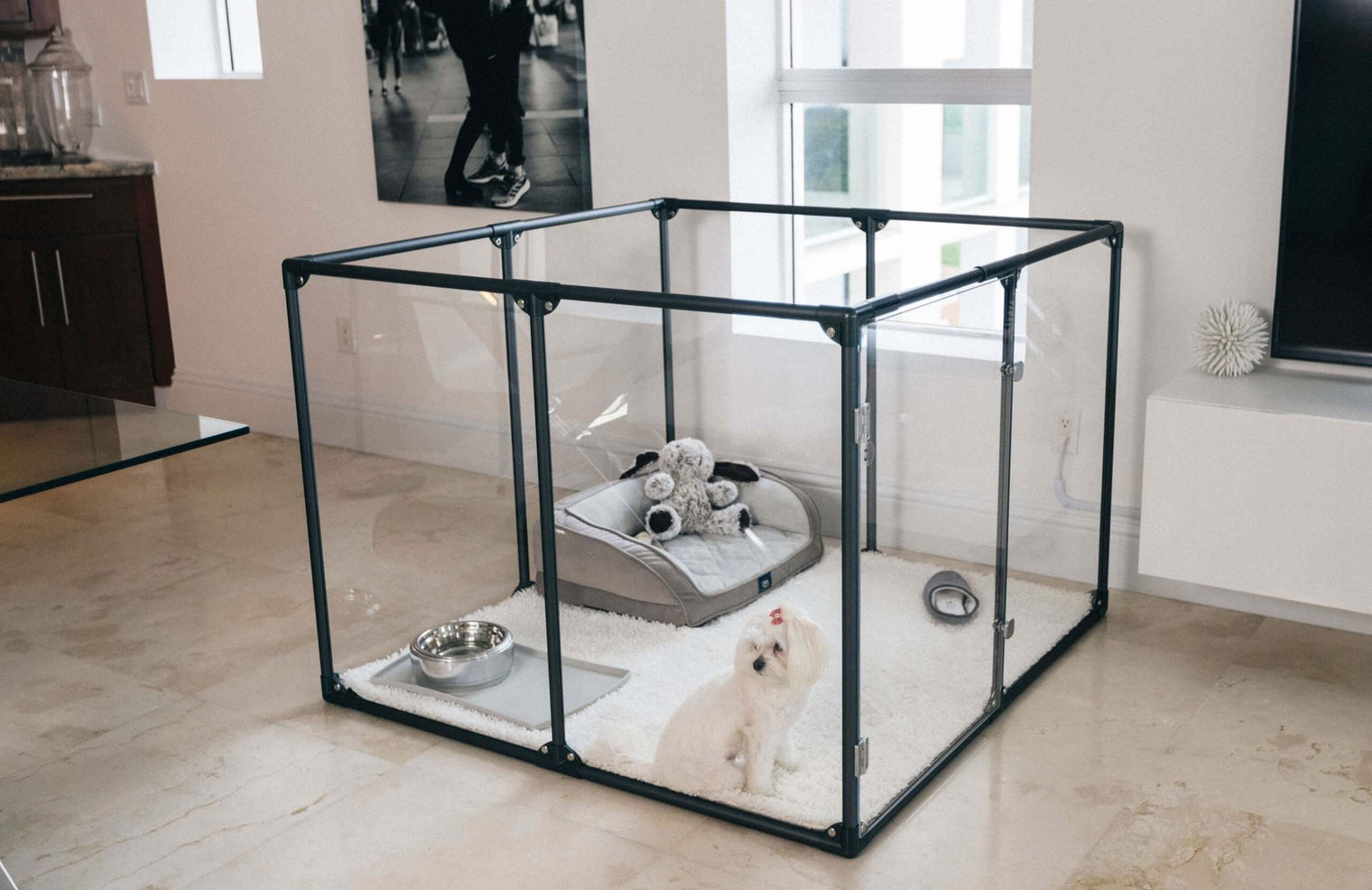 36 inch height medium dog pen in gunmetal color with small white dog in modern apartment.