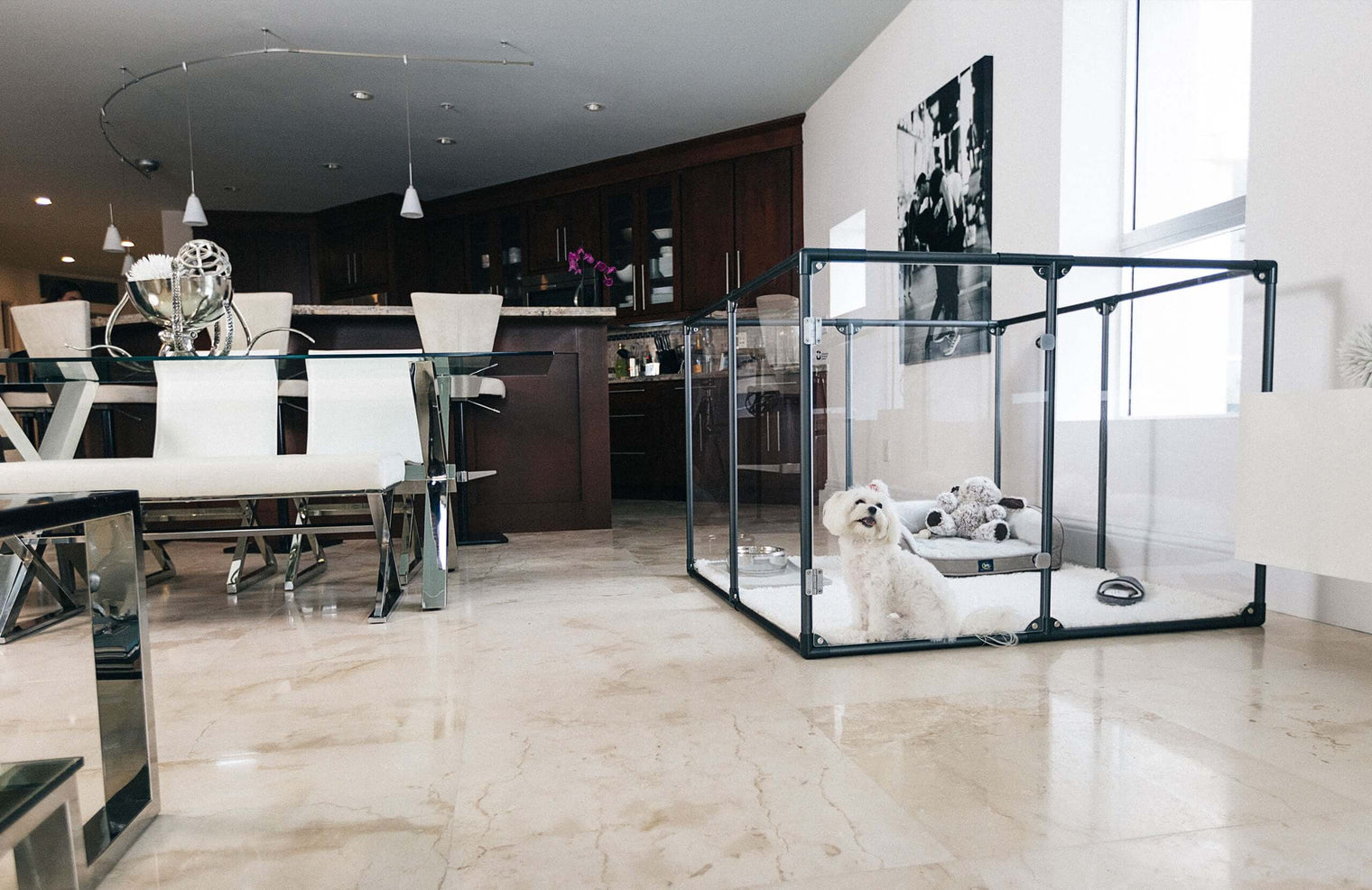 36 inch height medium dog pen in gunmetal color with small dog in contemporary apartment