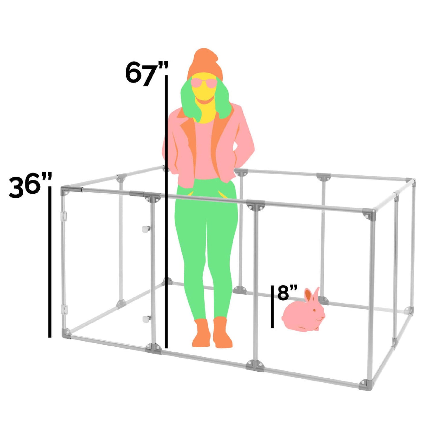 36" Tall Medium Lucidium Pet Pen shown next to Adult human