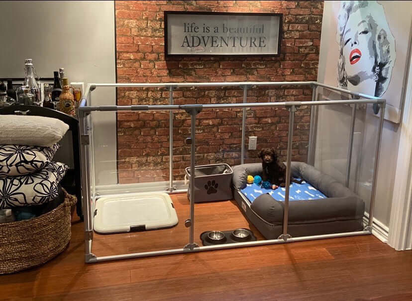 36 inch height large dog pen in silver color with small brown dog on large dog bed.