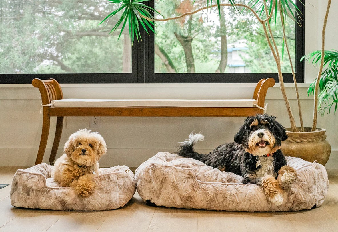 Two dogs resting in cozy faux fur P.L.A.Y. Dreamland Lounge Beds by a window indoors.