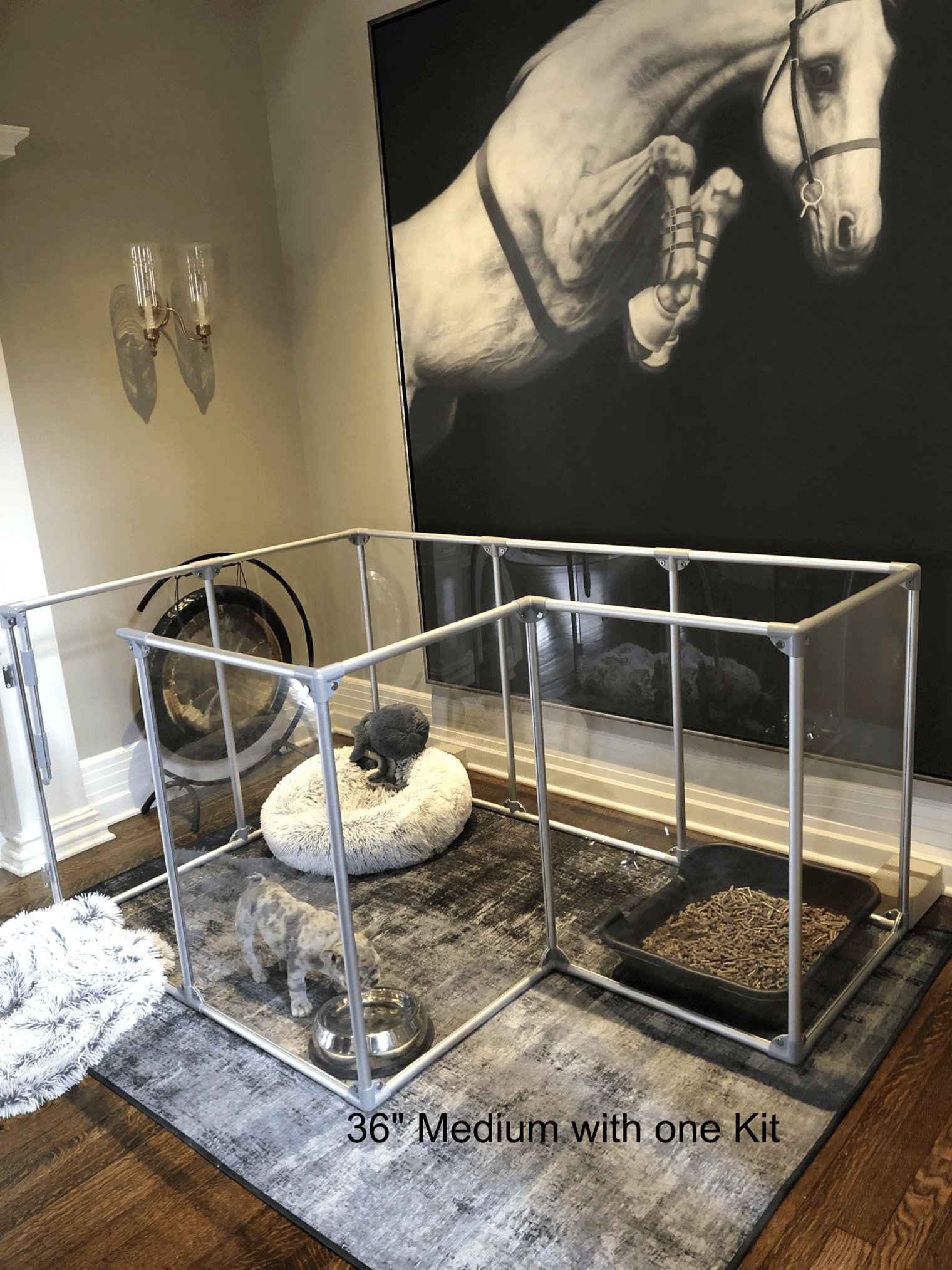 Modern clear pet pen with a gray Frenchie featuring the Lucidium Pen Universal Add-On Kit to make a bump-out.