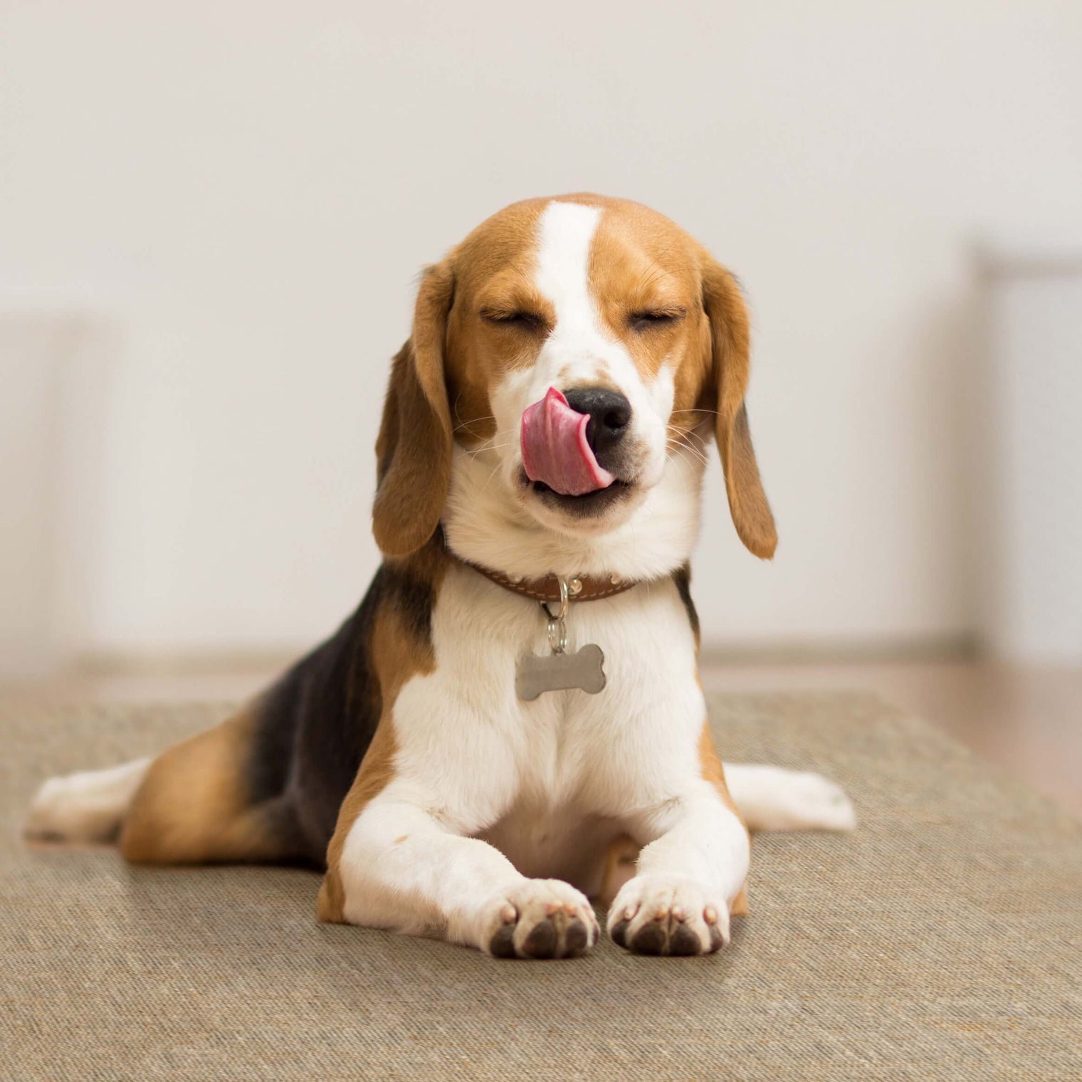 Munich Vinyl Pen Mat