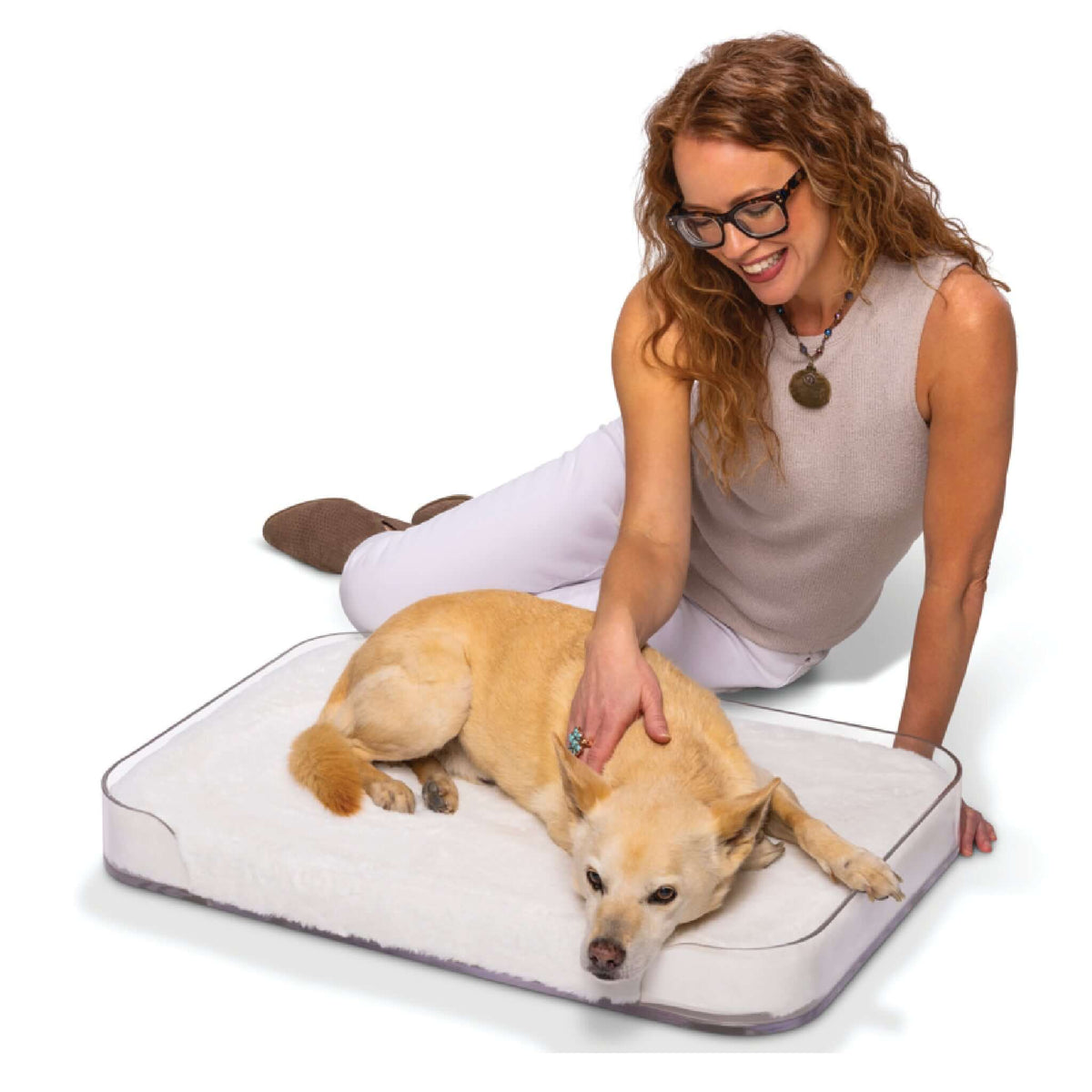 Modern Acrylic Dog Bed with Memory Foam Cushion Clearly Loved Pets