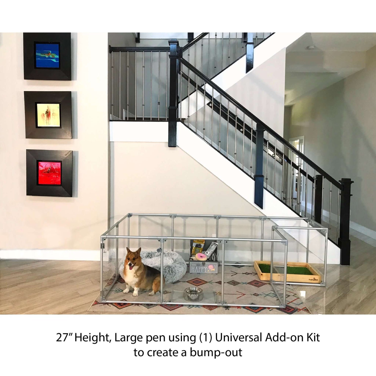 dog in a clear pen featuring the Lucidium Pen Universal Add-On Kit