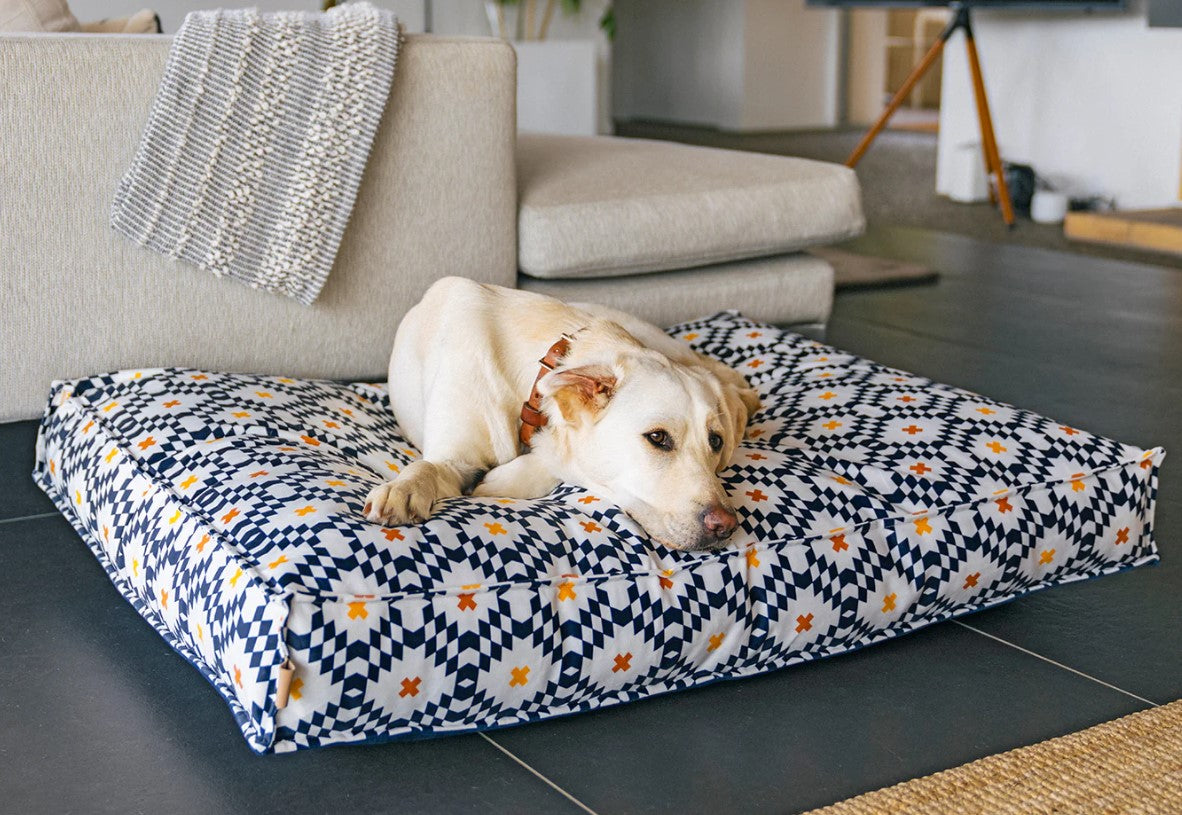 Dog resting on a P.L.A.Y. Marina Boxy Bed with contemporary striped design in a living room.