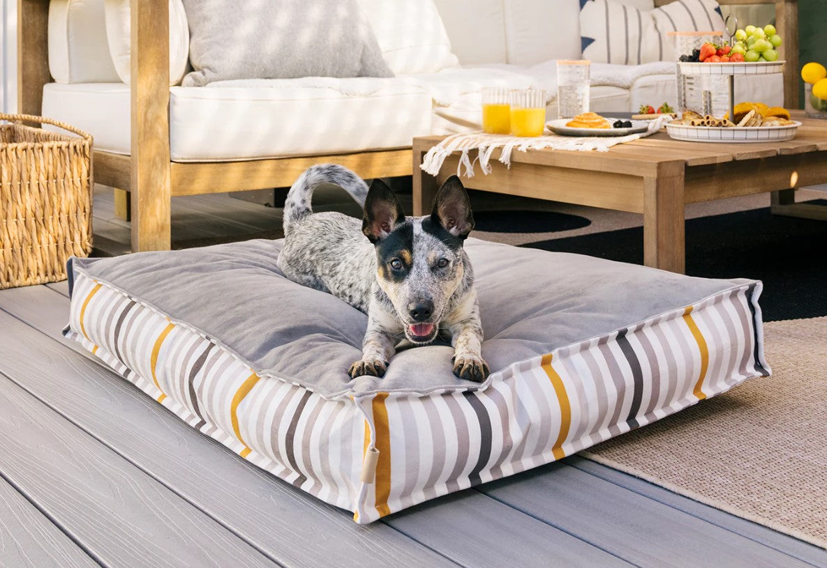Dog relaxing on a P.L.A.Y. Seaside Boxy Bed with striped design in a stylish living room.