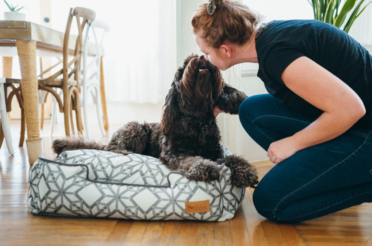 Woman playing with her dog on a P.L.A.Y. Solstice Lounge Bed with geometric patterns in a cozy home setting.