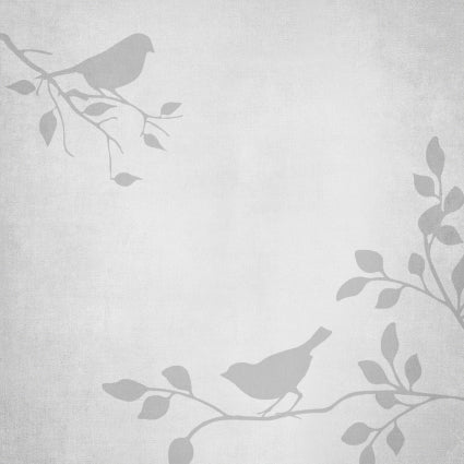 Birdsong Vinyl Pen Mat