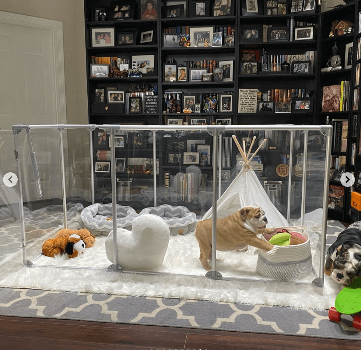 bulldog inside 36 inch height large dog pen in silver color with white pet teepee