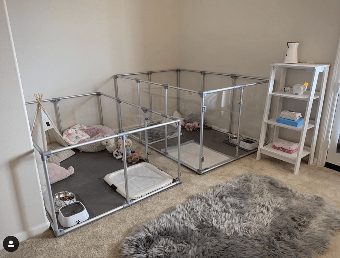 Two large Lucidium dog pens side by side 27" and 36" heights