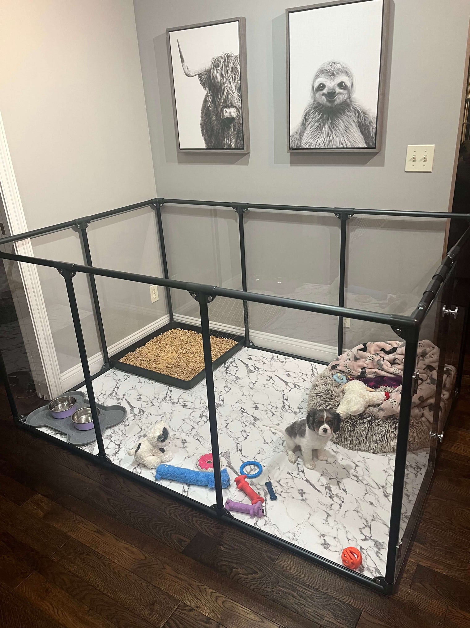 Puppy inside 36 inch height large dog pen in gunmetal color furnished with bed, toys and litter box.