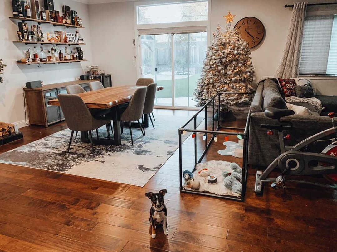 27" Tall Large Lucidium Pet Pen, GUNMETAL (Unused Return)