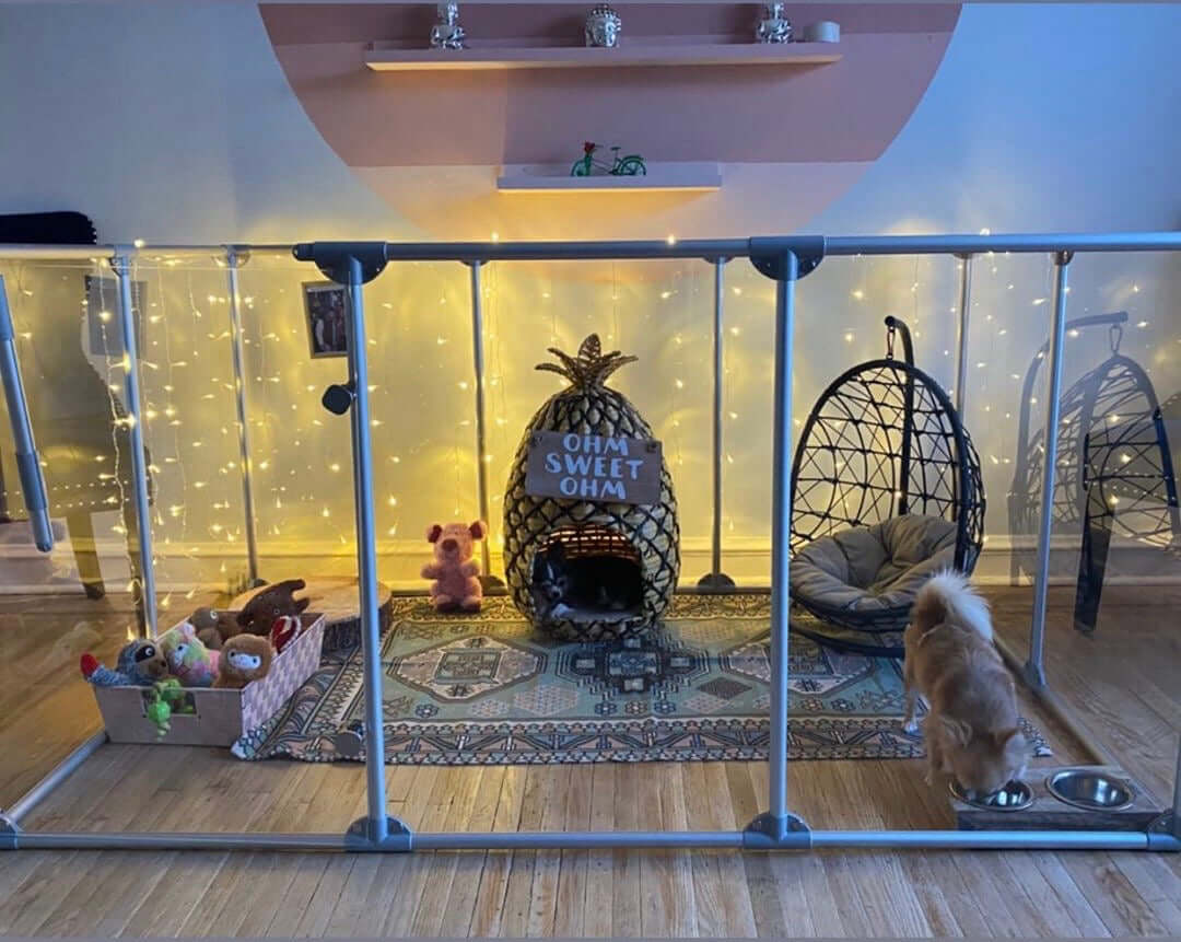 small dog inside 36 inch height large dog pen in silver color, furnished with lights and toys.