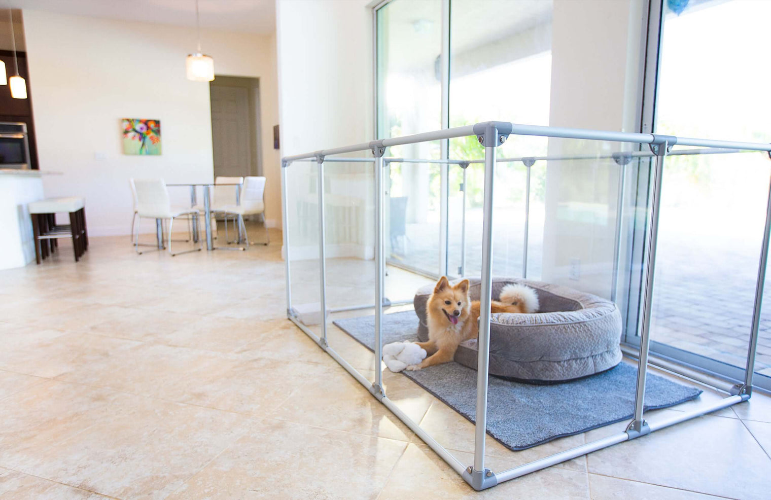 small dog inside 36 inch height large dog pen in silver color in modern home.
