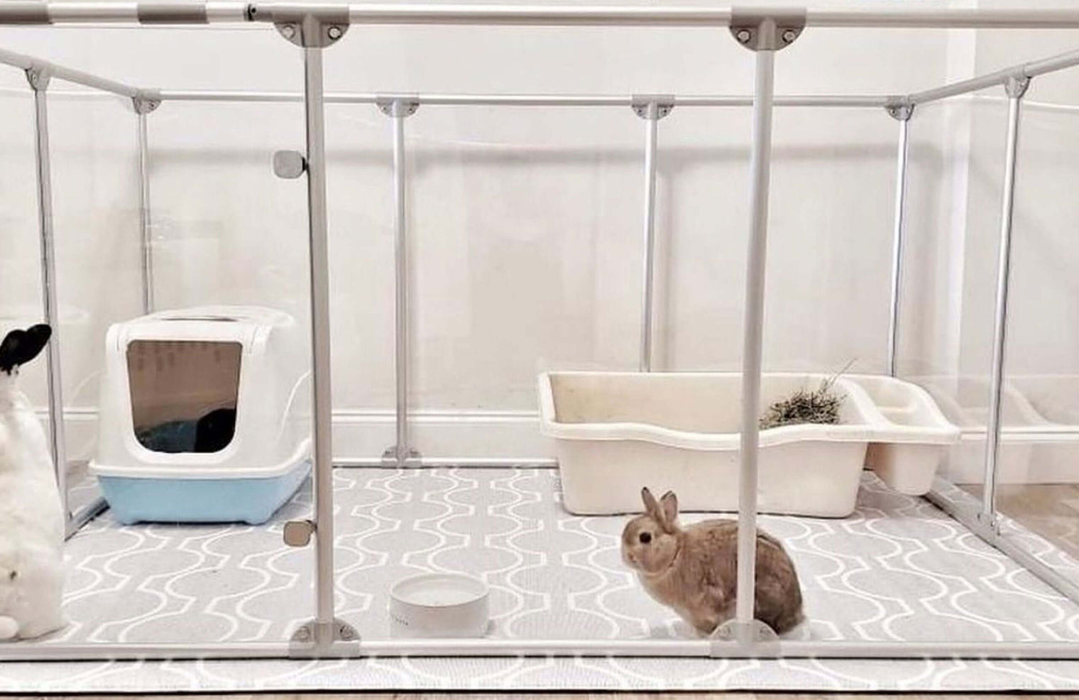 two rabbits inside 36 inch height large dog pen in silver color with litter box