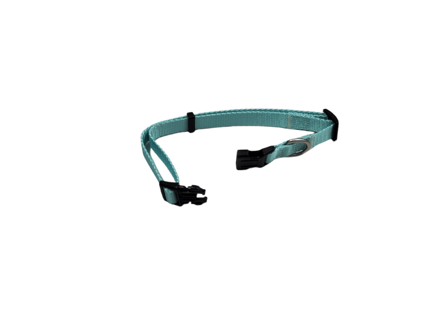 Dog Collar