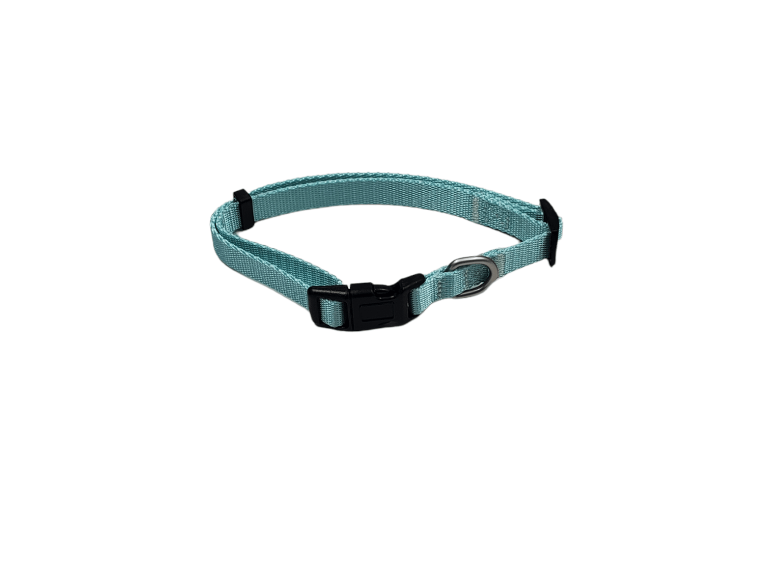 Dog Collar