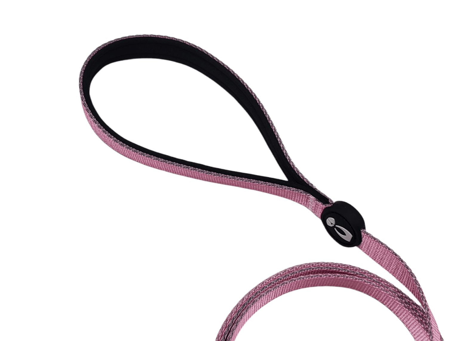 Dog Leash