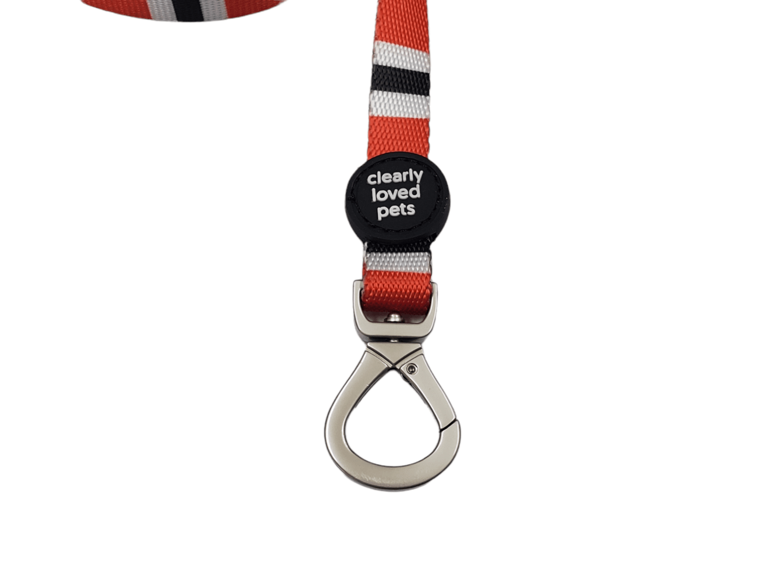 Dog Leash