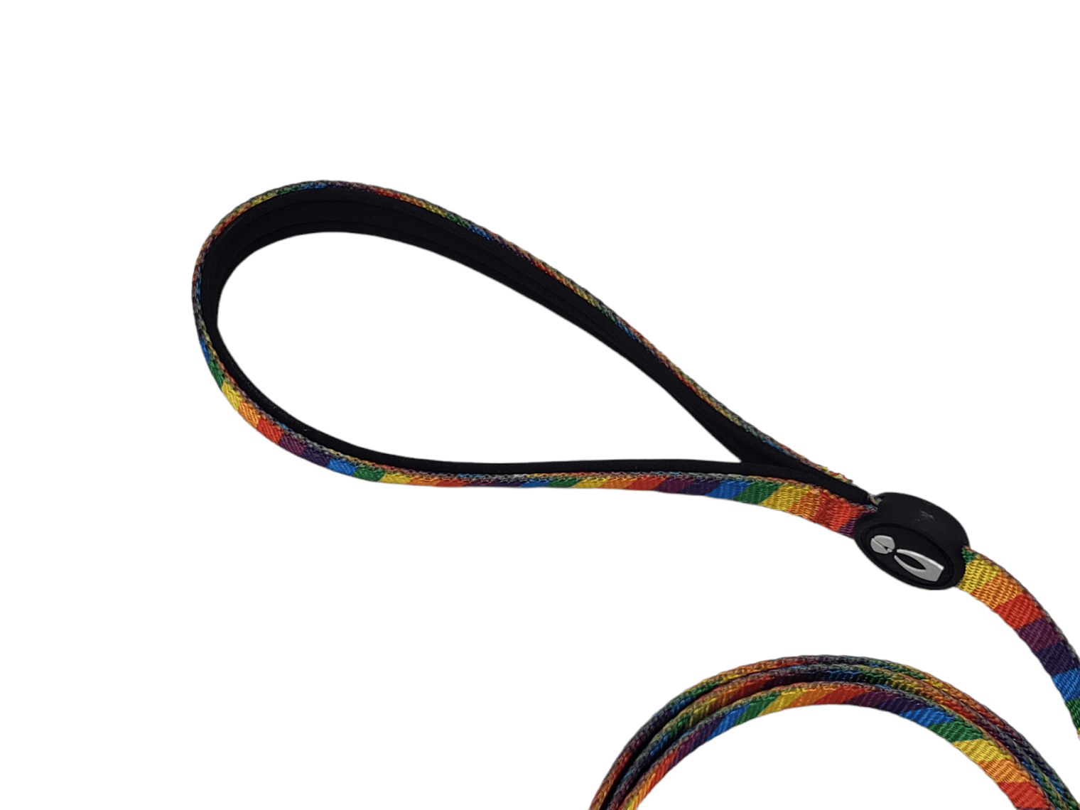 Dog Leash