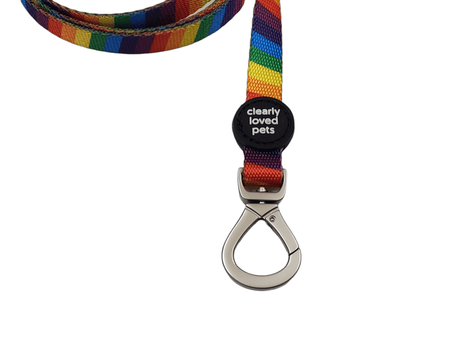 Dog Leash