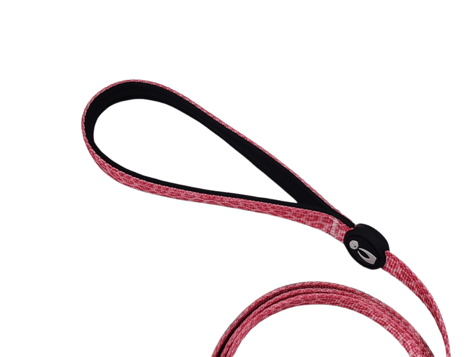Dog Leash