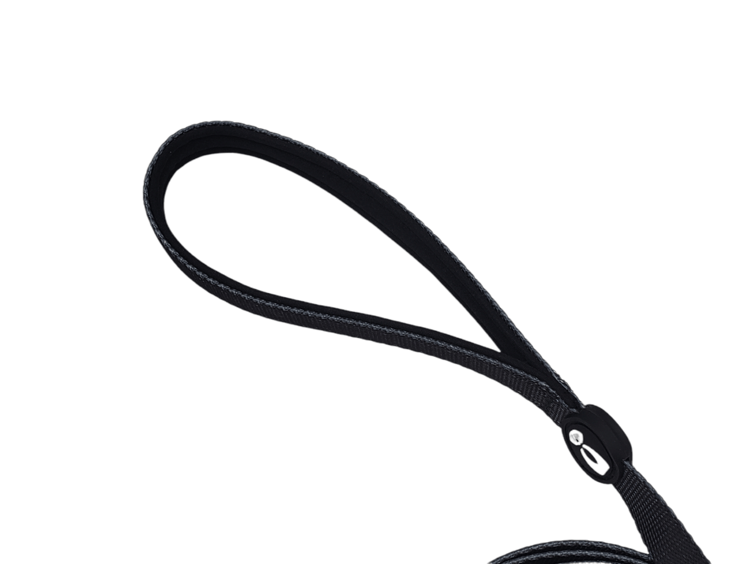 Dog Leash