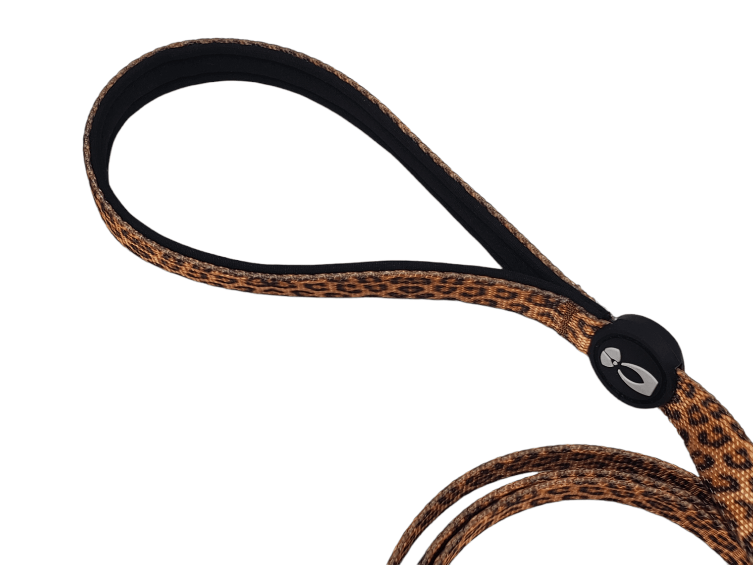Dog Leash