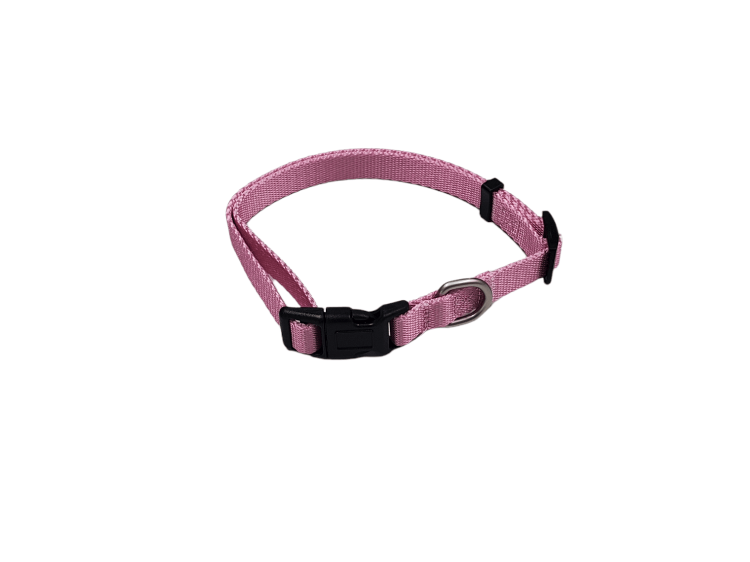 Dog Collar