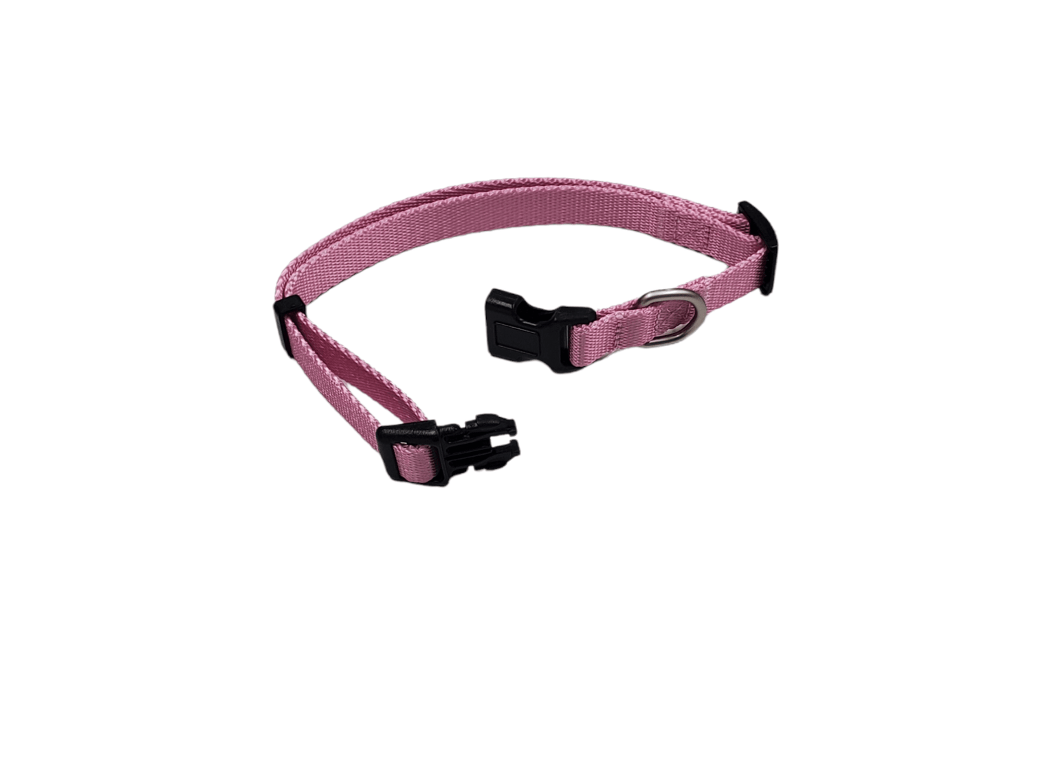 Dog Collar