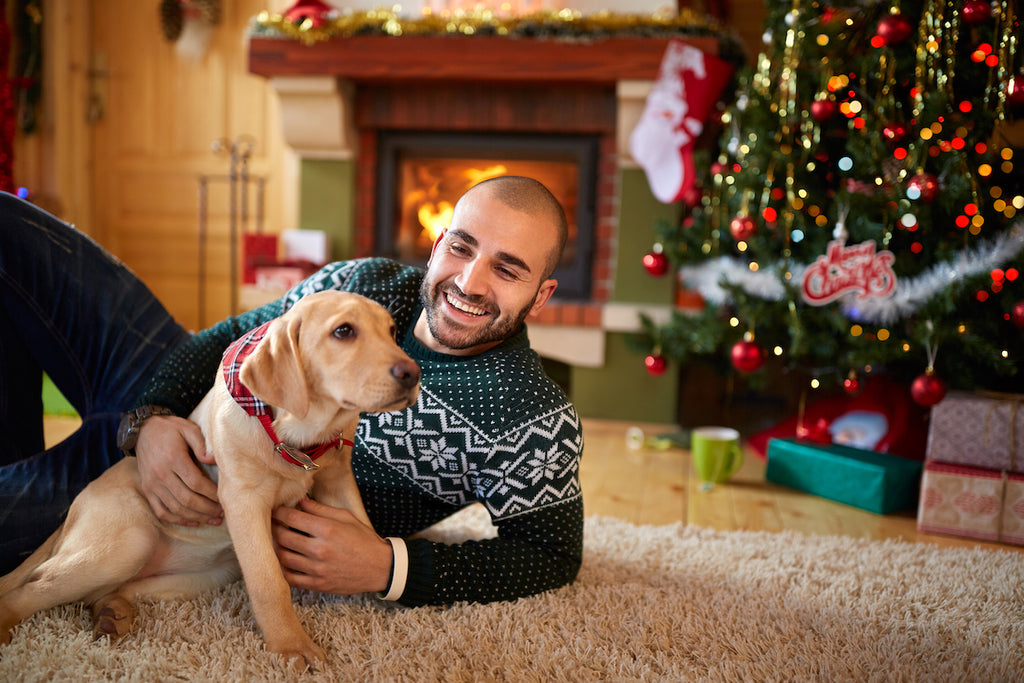 How to Choose the Right Toys for Your Dog for Christmas