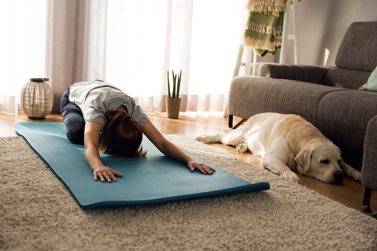 The Psychological and Health Impacts of Human-Dog Relationships