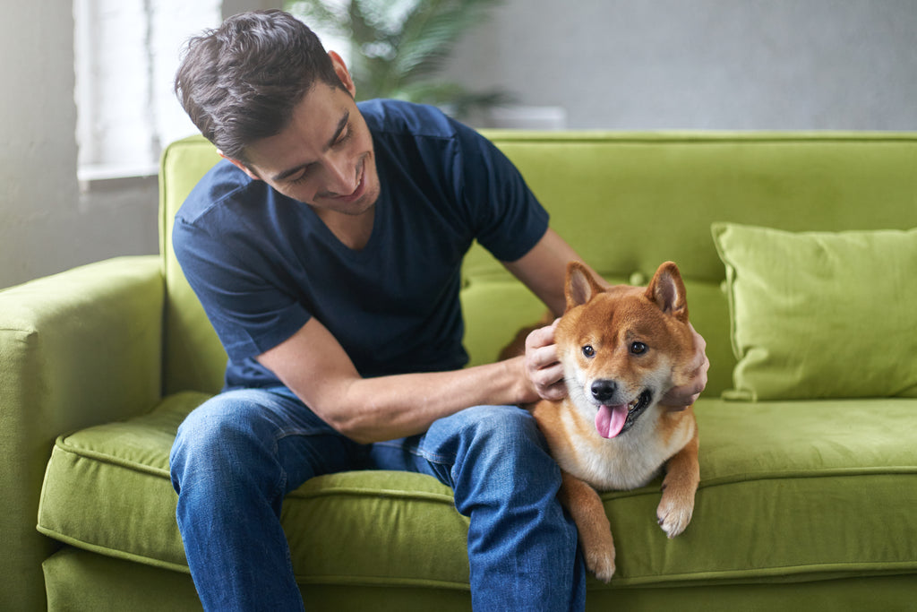 Are You Making These Mistakes with your Dog?