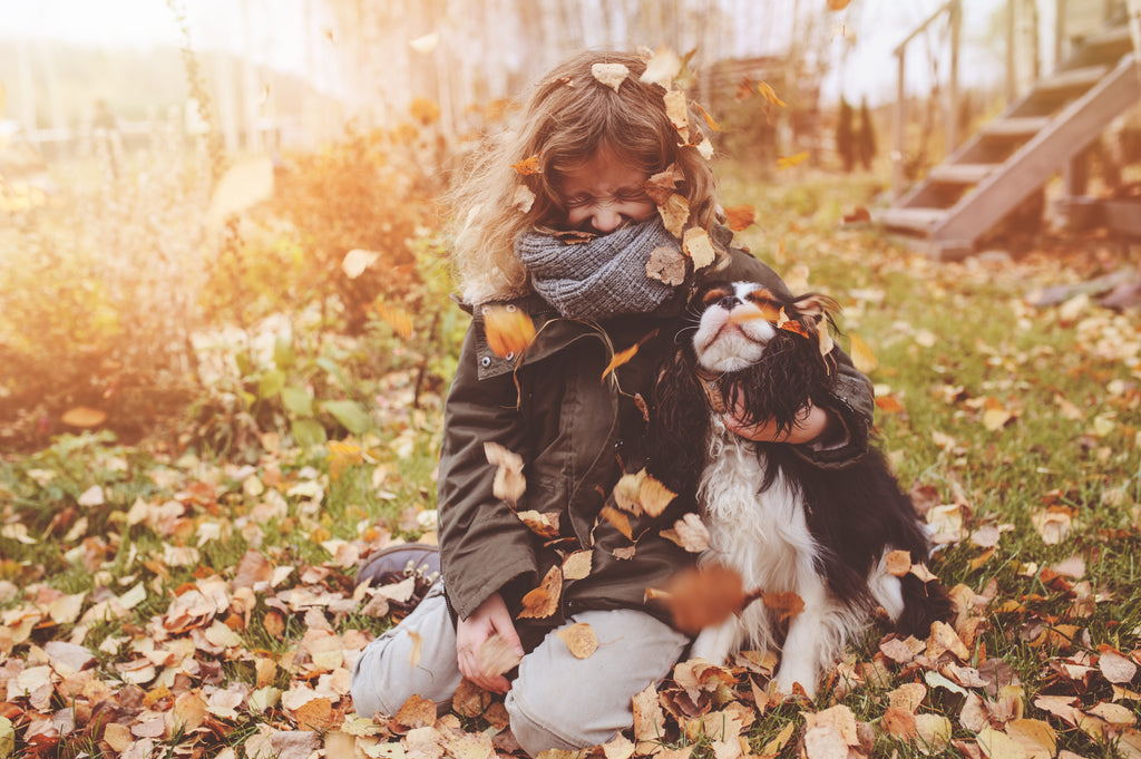 6 Activities to Do with Your Dog This Fall
