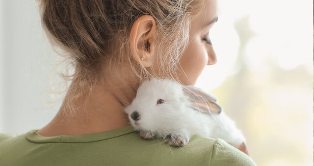 How To Care For Your Bunny