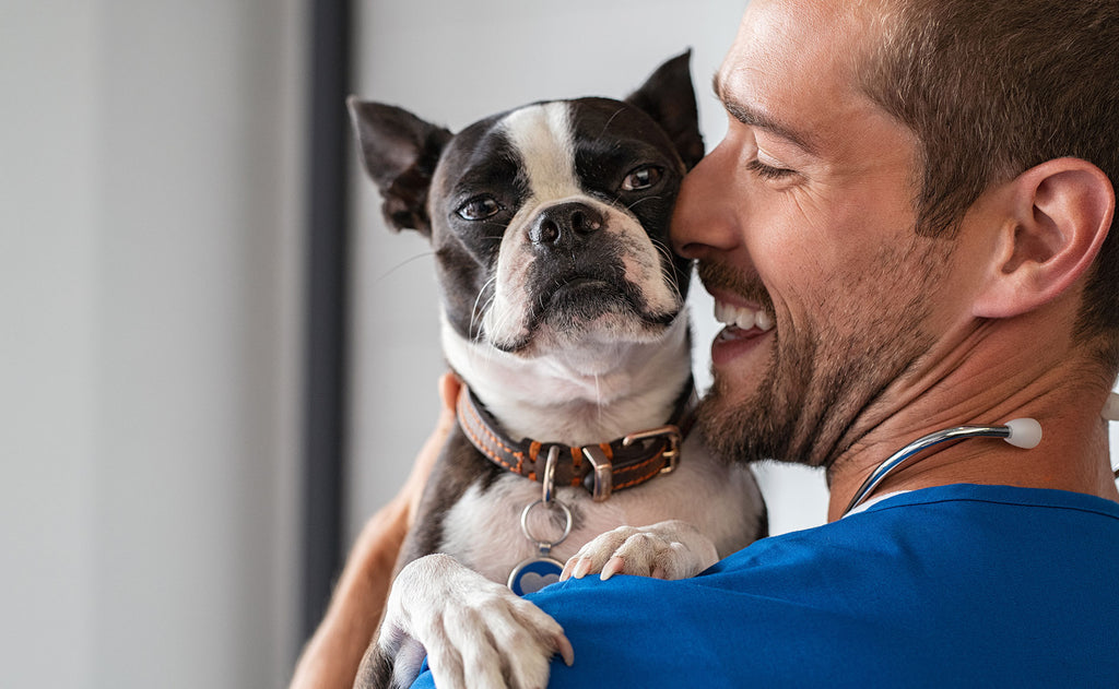 Finding the Right Veterinarian for Your Pet