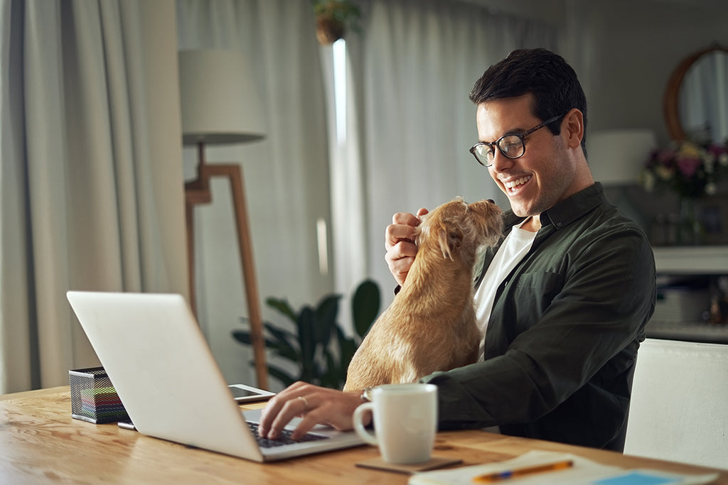 What to Do With Your Pet When You’re at Work