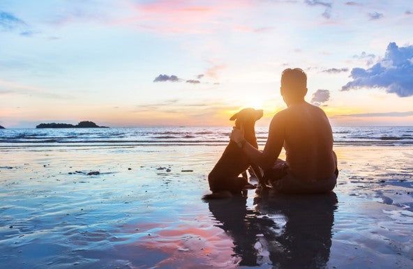 Man and dog on beach