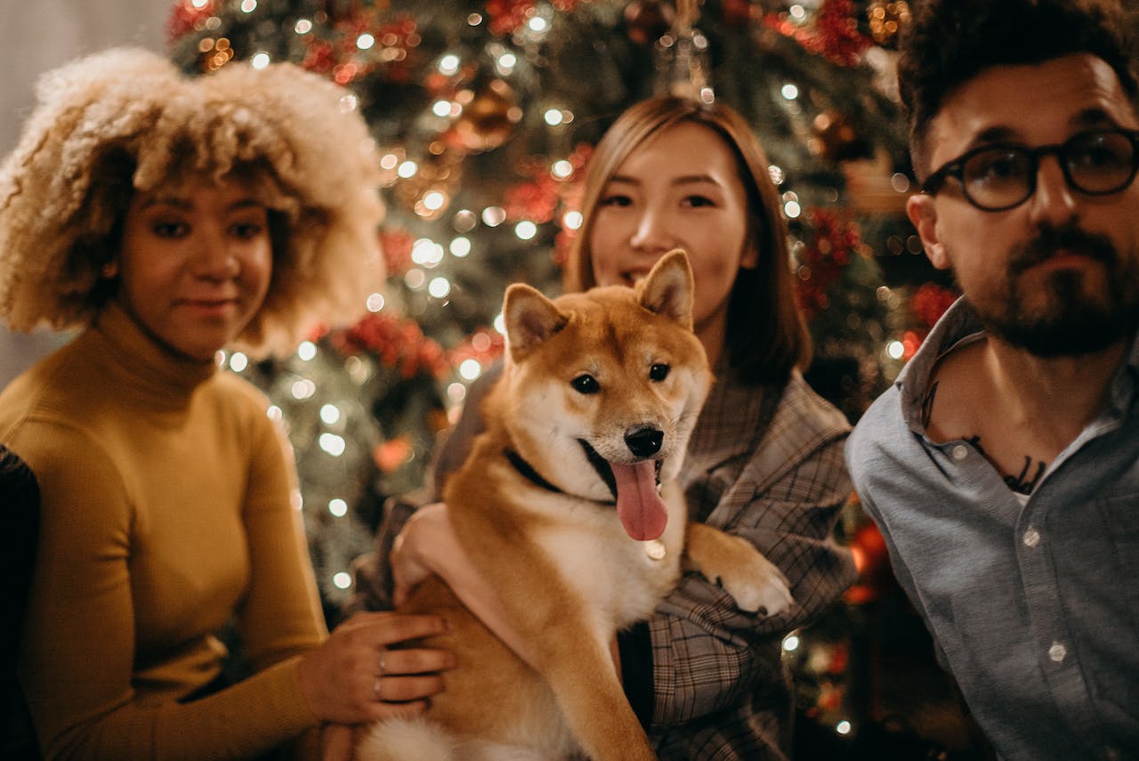 Essential Holiday Pet Safety Tips: Keep Pets Safe This Holiday Season
