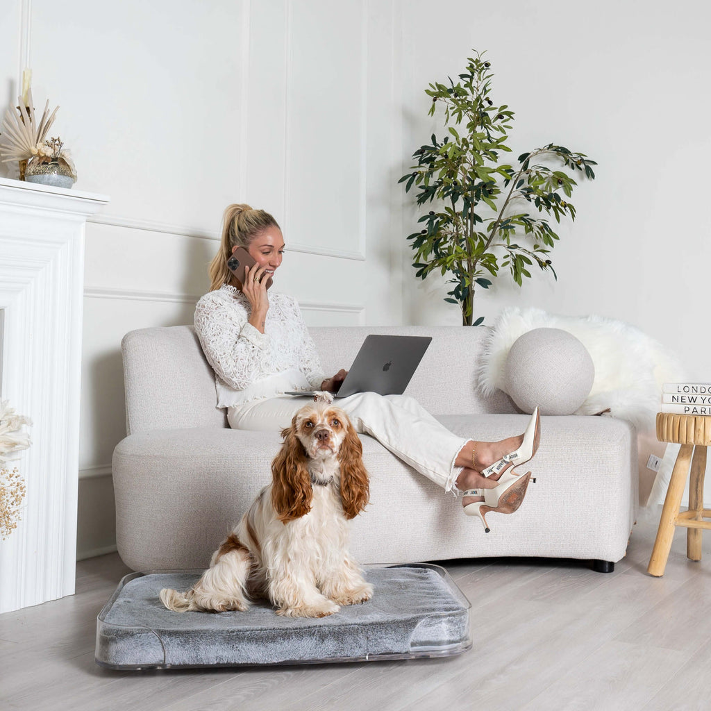 Woman sitting on sofa with dog resting on modern dog bed in front of her