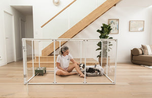 Woman and puppy sitting in large clear dog pen