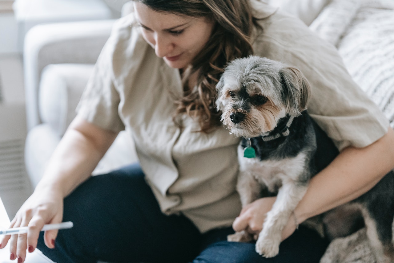 How to Choose the Best Dog Pen for Your Pup