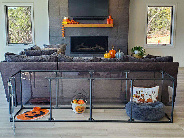 Clear dog pen with Halloween decor set-up behind a sofa