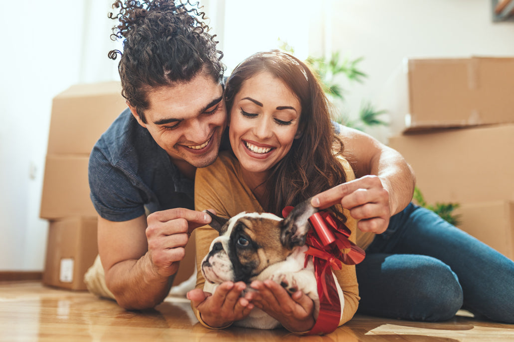 New Puppy? These Are Your Must-Haves